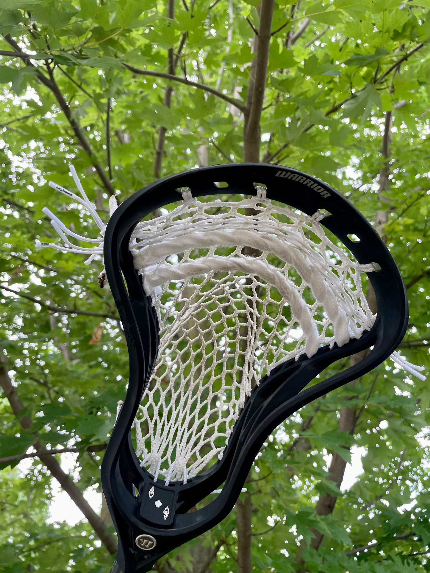 Ace of Spades Lax (Black)
